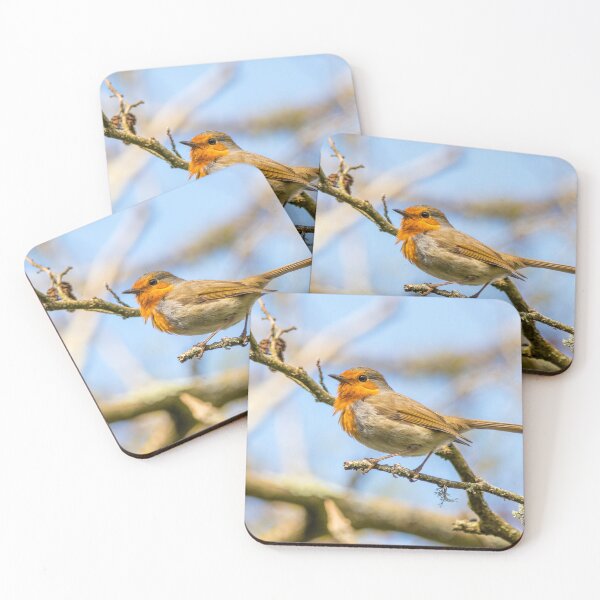 Item preview, Robin designed and sold by LaHickmana.