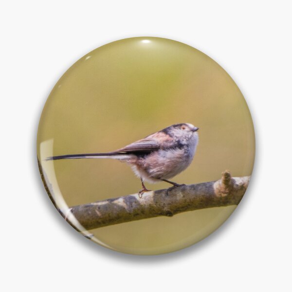 Item preview, Long-tailed Tit designed and sold by LaHickmana.