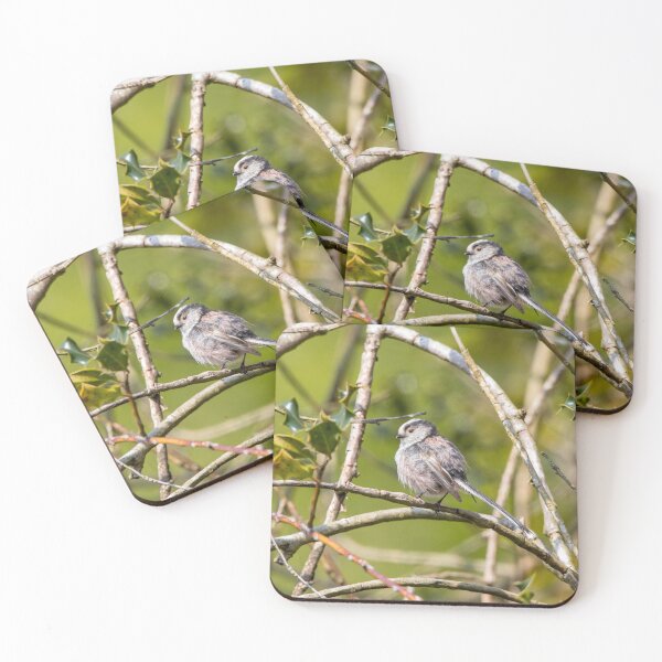 Item preview, Baby long-tailed tit in holly designed and sold by LaHickmana.