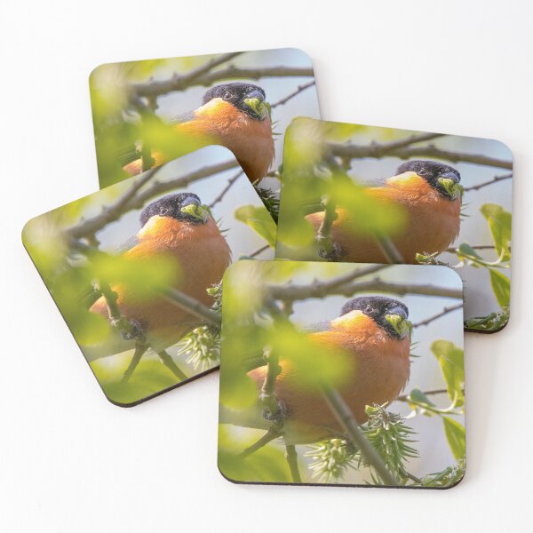 Item preview, Bullfinch eating designed and sold by LaHickmana.