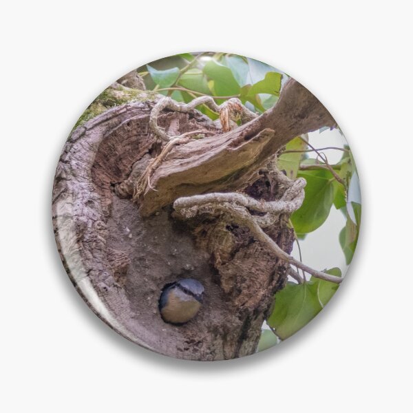 Item preview, Nesting Nuthatch designed and sold by LaHickmana.