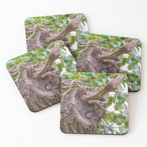 Item preview, Nesting Nuthatch designed and sold by LaHickmana.