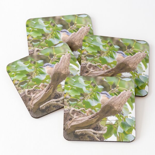 Item preview, Perching nuthatch designed and sold by LaHickmana.