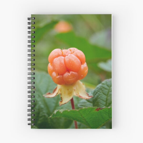 Item preview, Cloudberry colors designed and sold by Jouko Lehto Photography.