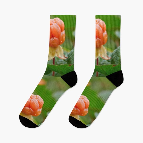 Item preview, Cloudberry colors designed and sold by Jouko Lehto Photography.