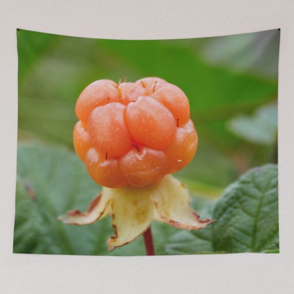 Item preview, Cloudberry colors designed and sold by Jouko Lehto Photography.