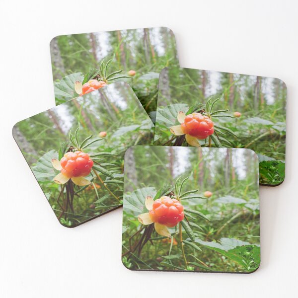 Item preview, The treasures of the Cloudberry forest designed and sold by Jouko Lehto Photography.