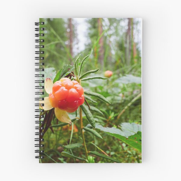 Item preview, The treasures of the Cloudberry forest designed and sold by Jouko Lehto Photography.
