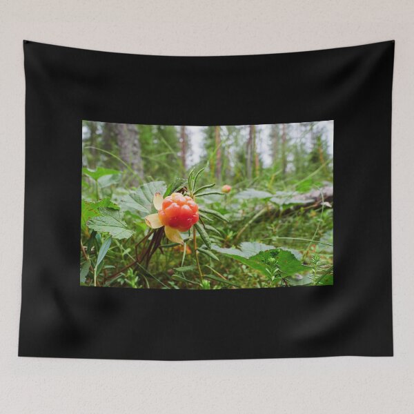 Item preview, The treasures of the Cloudberry forest designed and sold by Jouko Lehto Photography.