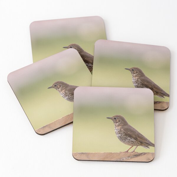 Item preview, Song thrush on fence designed and sold by LaHickmana.