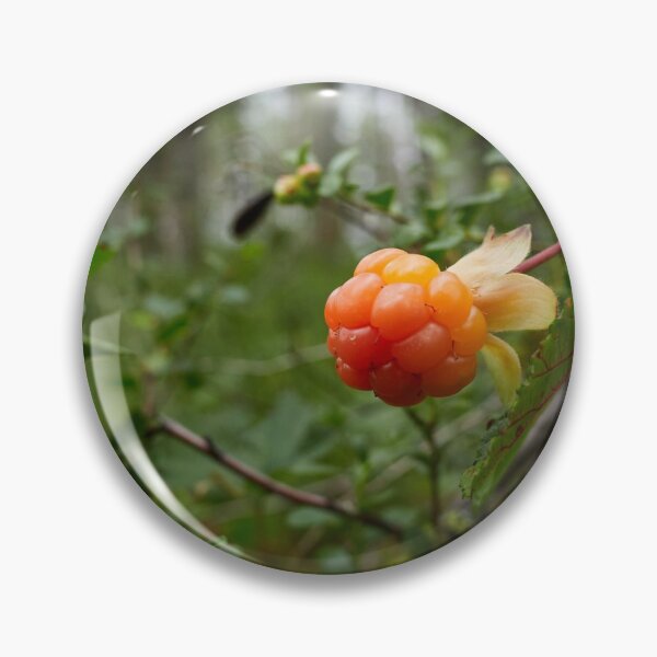 Item preview, The treasures of the Cloudberry forest 2 designed and sold by Jouko Lehto Photography.
