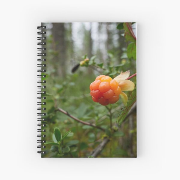 The treasures of the Cloudberry forest 2 Spiral Notebook