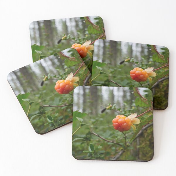 Item preview, The treasures of the Cloudberry forest 2 designed and sold by Jouko Lehto Photography.