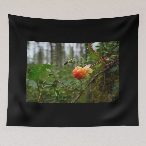 Item preview, The treasures of the Cloudberry forest 2 designed and sold by Jouko Lehto Photography.