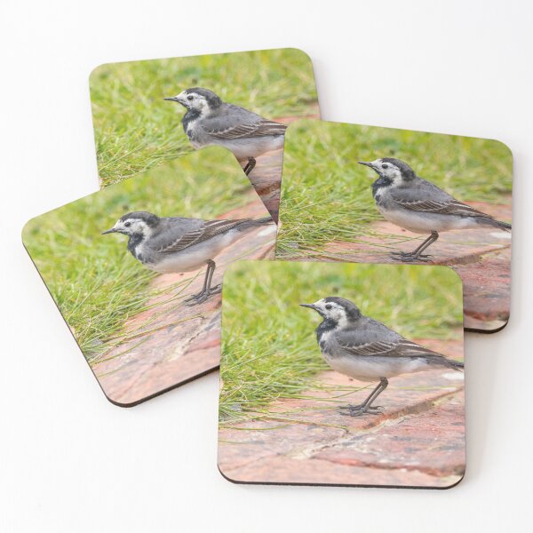 Item preview, Pied wagtail designed and sold by LaHickmana.