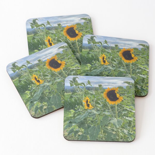 Item preview, Sunflowers Aesthetic  designed and sold by sofiakalinina.