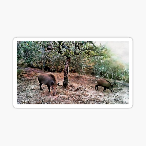 Item preview, Wild Boar in Daylight designed and sold by ShannathShima.