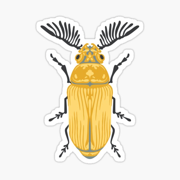 Feather horned Beetle Sticker