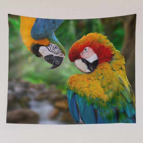 Item preview, Blue and Green Macaw and Scarlet Macaw cheeky couple. Beautiful Clever, Cheeky and Colorful Birds. Ara araraunas and Ara macao designed and sold by Orianah.