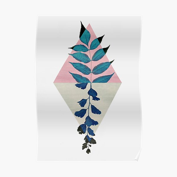 Geometry and Nature I Poster