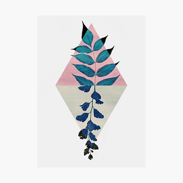 Geometry and Nature I Photographic Print