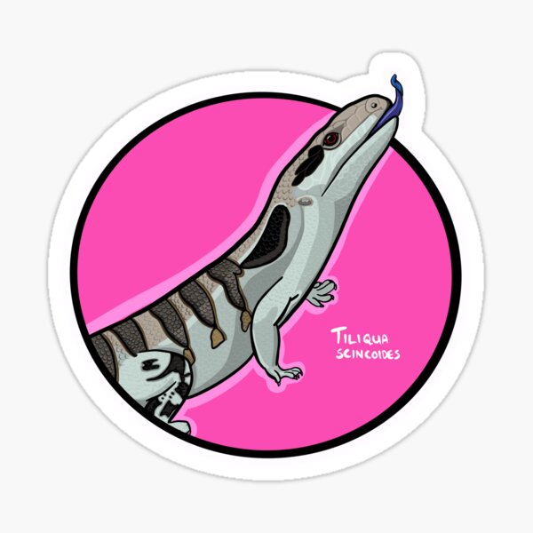 Item preview, Blue tongue lizard designed and sold by Serpent Aesthetics.