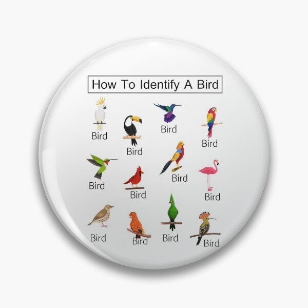 Item preview, How To Identify A Bird designed and sold by alfa-rouk.