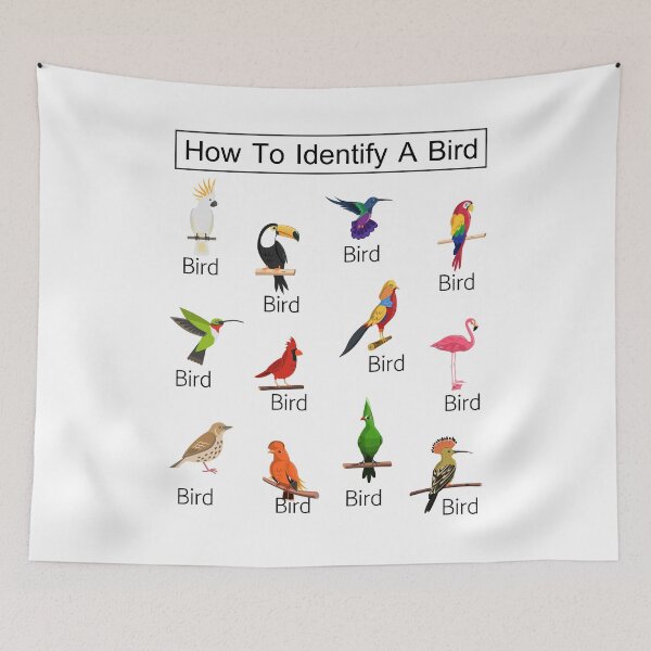 Item preview, How To Identify A Bird designed and sold by alfa-rouk.