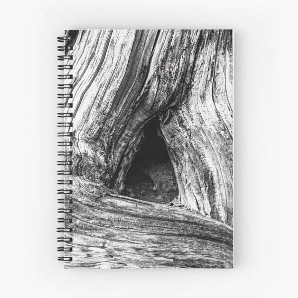 Item preview, Tree Trunk Wood Detailed Texture Close-up designed and sold by Andreea Eva Herczegh.