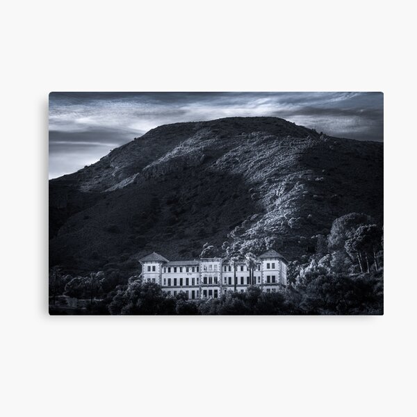 Canvas Print