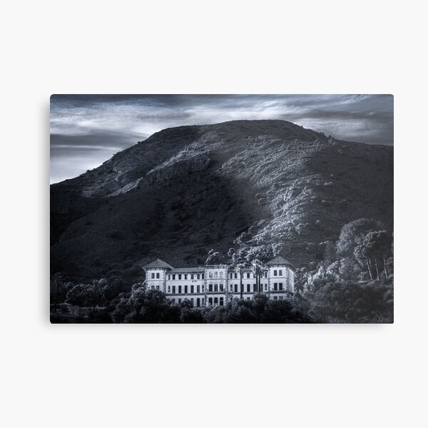 Metal Print