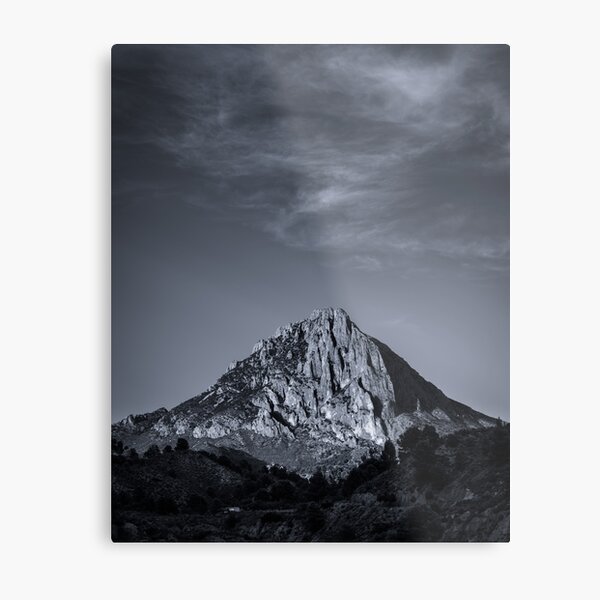 Metal Print
