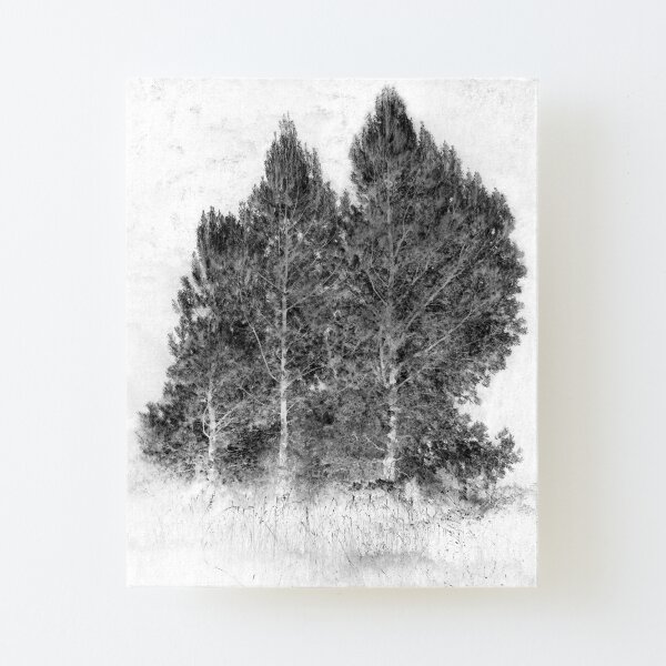Canvas Mounted Print