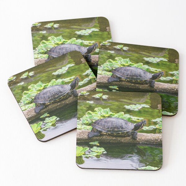 Item preview, Red Eared Slider Turtle Reflecting on Pond Water designed and sold by Andreea Eva Herczegh.