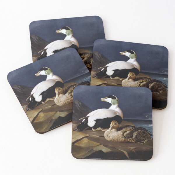 Item preview, Somateria mollissima by Ferdinand von Wright designed and sold by academic-art.