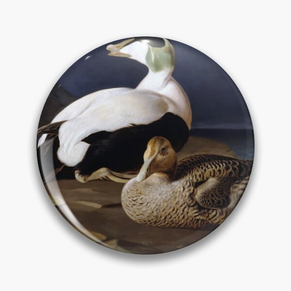 Item preview, Somateria mollissima by Ferdinand von Wright designed and sold by academic-art.