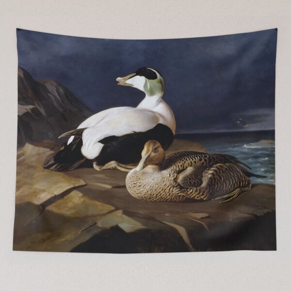 Item preview, Somateria mollissima by Ferdinand von Wright designed and sold by academic-art.