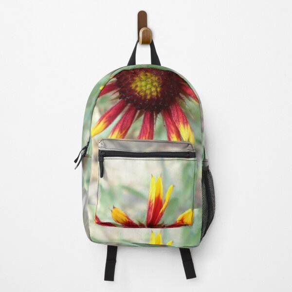 Item preview, Gaillardia Blanket Flower Petals Not Yet Fully Open designed and sold by Beachy.