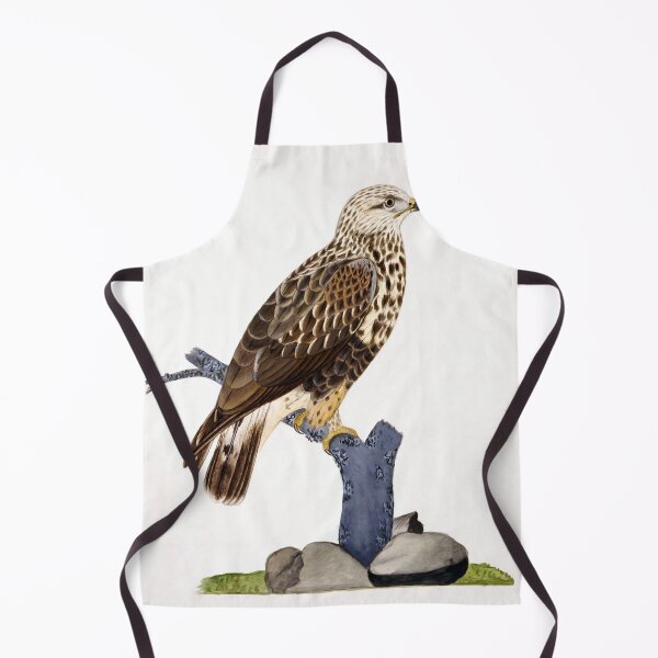 Item preview, Buteo lagopus by Ferdinand von Wright designed and sold by academic-art.