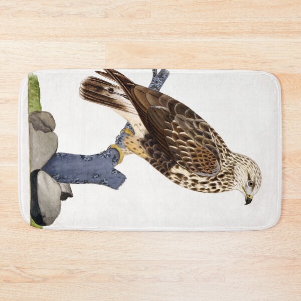 Item preview, Buteo lagopus by Ferdinand von Wright designed and sold by academic-art.