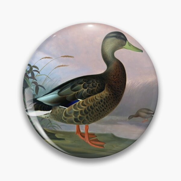 Item preview, Anas platyrhynchos by Ferdinand von Wright designed and sold by academic-art.
