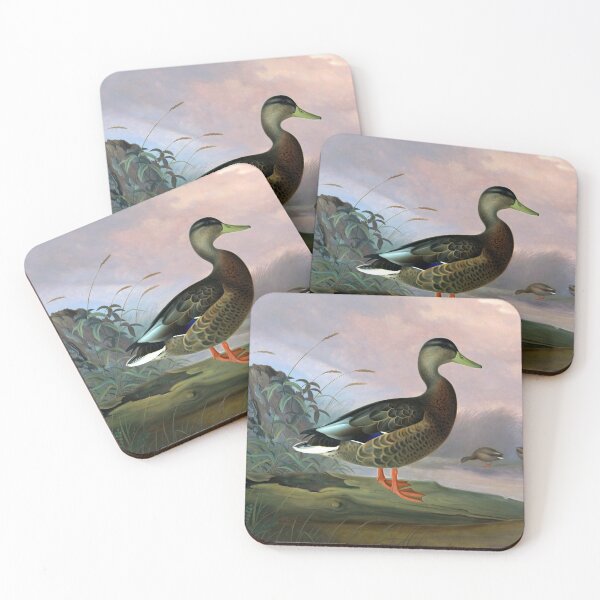 Item preview, Anas platyrhynchos by Ferdinand von Wright designed and sold by academic-art.