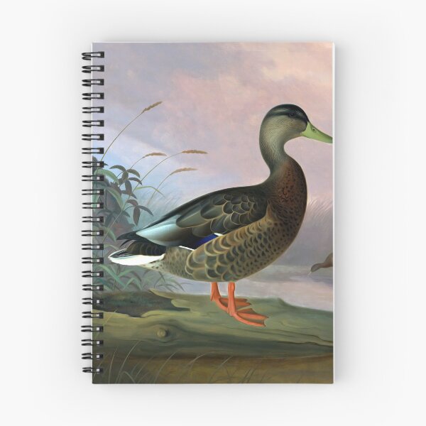 Item preview, Anas platyrhynchos by Ferdinand von Wright designed and sold by academic-art.