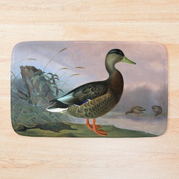 Item preview, Anas platyrhynchos by Ferdinand von Wright designed and sold by academic-art.