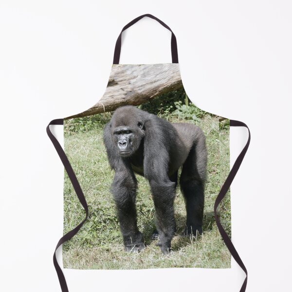Item preview, r1113/ Finition 2021 " le Jeune Gorille en Attente... ! " 2014 (c) Olavia-Olao Okaio Créations designed and sold by o.okaïo.