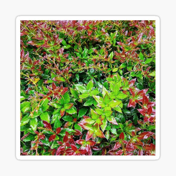 Item preview, Green and Red Leaves designed and sold by rkaidesigns.
