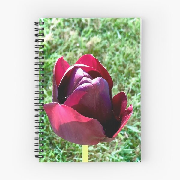 Item preview, Terrific Tulip  designed and sold by KazM.