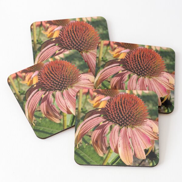 Item preview, Coneflower designed and sold by AbicArtsStudio.