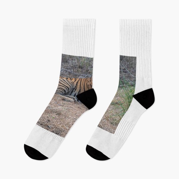 Item preview, Tiger at rest designed and sold by Pravine Chester.