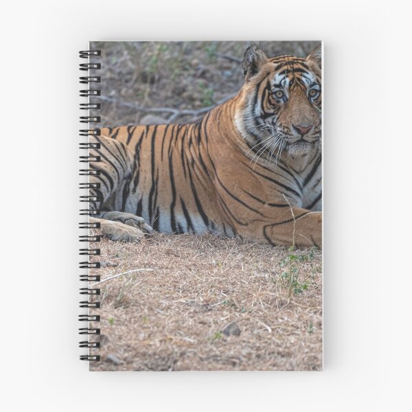 Item preview, Tiger at rest designed and sold by Pravine Chester.